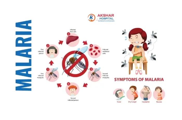 Prevention and Precautions For Malaria